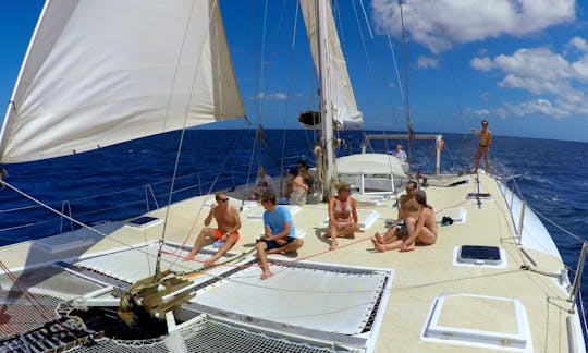 Morning tour on the Carribean sea from Deshaies