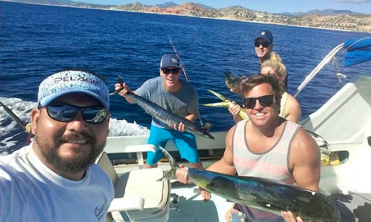 Enjoy Fishing in San José del Cabo, Mexico on 38' Black fin Sport Fisherman