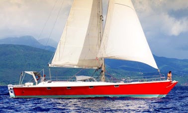 Excursión de un día y tortugas marinas en un catamarán de vela desde Deshaies