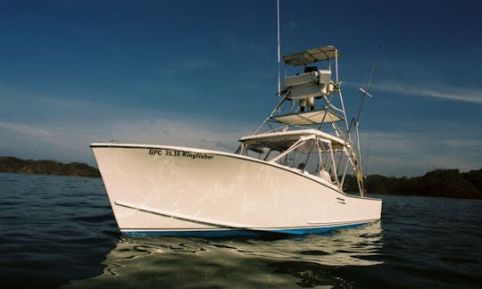 31' King Fisher Sport Fisherman Charter in Guanacaste Province, Costa Rica