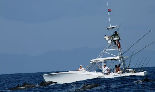 31' King Fisher Sport Fisherman Charter in Guanacaste Province, Costa Rica