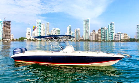 29' Center Console Rental In Bolívar, Colombia