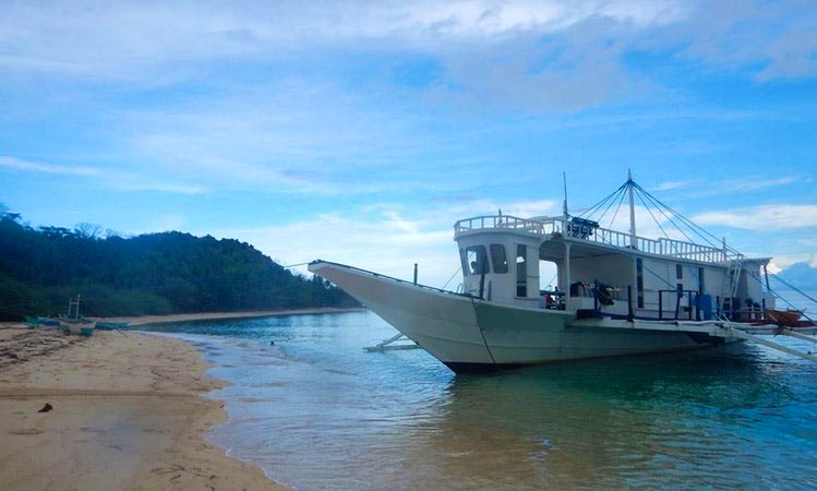 Budget Liveaboard Diving Apo Reef Coron Wrecks Dugongs Budget Liveaboard Diving Apo Reef Coron Wrecks Dugongs