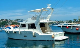 Striker 52 feet Great Yacht in Acapulco