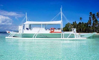 Diving Trips and Courses in Panglao, Philippines