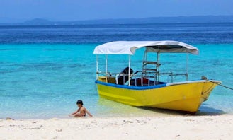 Divers Diving Boat in Philippines