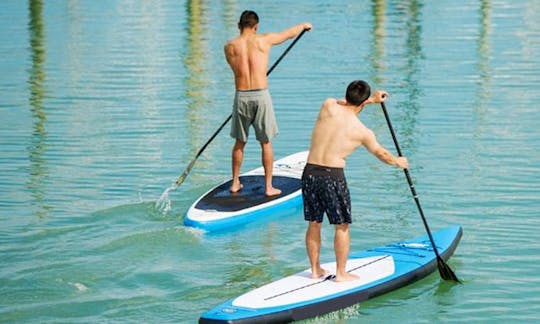 Stand Up Paddleboard Lessons In Auckland