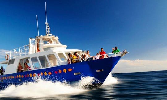 'Le Grand Bleu I' Boat Cruises in Saint-Gilles les Bains