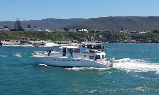 Boat Based Whale Watching in Hermanus, Western Cape, South Africa (70 Seater Motorised Catamaran)