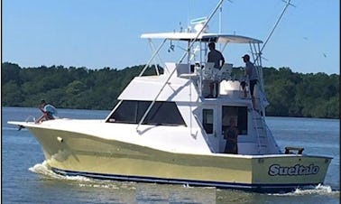 Profitez de la pêche à Rivas, au Costa Rica, à bord d'un Viking Sport Fisherman de 41 pieds