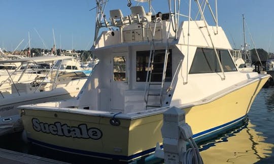 Disfrute de la pesca en Rivas, Costa Rica, en Viking Sport Fisherman de 41 pies