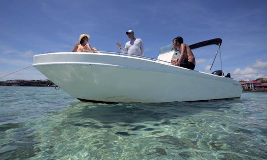 Emocionante passeio de barco para 7 pessoas em Le François, Martinica!