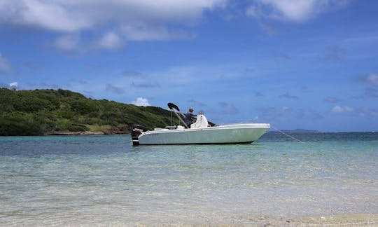 Exciting Boat Tour for 7 Person in Le François, Martinique!