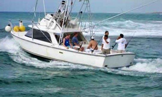 Enjoy Fishing On 29ft Contender Sports Fisherman Yacht In Santa Marta, Colombia
