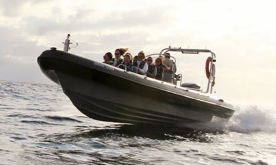 Alugue um barco inflável rígido na Calheta, Portugal