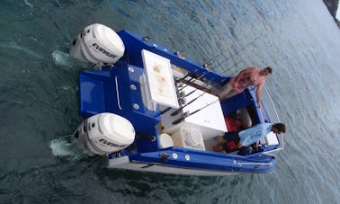Shark Cat Fishing Boat