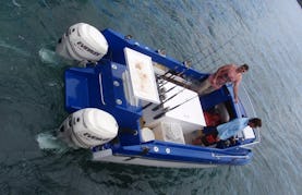 Shark Cat Fishing Boat