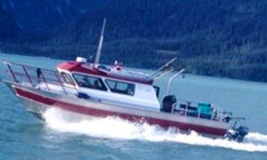 Charter 33ft Peregrine Fishing Boat in Whittier, Alaska