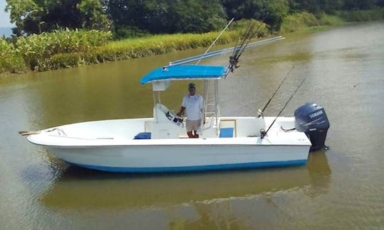 Disfrute de la pesca en Puntarenas, Costa Rica, en la consola central