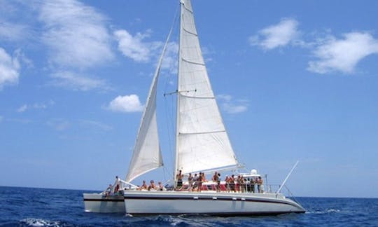 Navega en catamarán «Marlin del Rey» de 66 pies en Playa Tamarindo