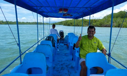 Private Tour Boat in Damas Island, Costa Rica