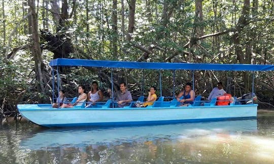 Private Tour Boat in Damas Island, Costa Rica