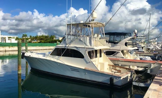 Enjoy Fishing In Bayahibe, To Saona Island, In Dominican Republic On Board Of Spot 46 Fisherman