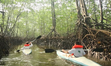 Enjoy Kayaking in Provincia de Puntarenas, Costa Rica