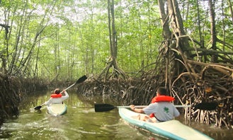 Enjoy Kayaking in Provincia de Puntarenas, Costa Rica