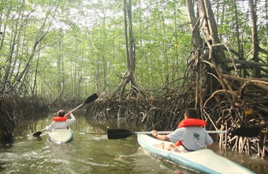 Enjoy Kayaking in Provincia de Puntarenas, Costa Rica