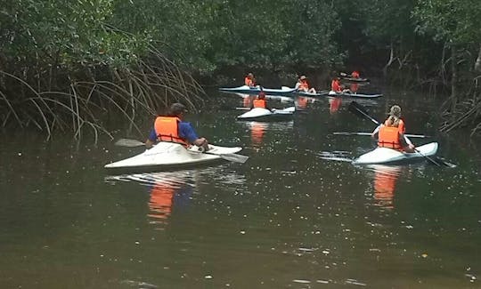 Profitez du kayak dans la province de Puntarenas, au Costa Rica