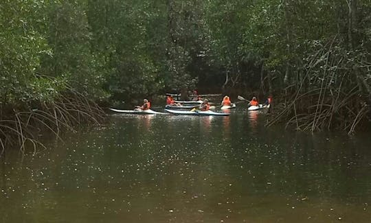 Profitez du kayak dans la province de Puntarenas, au Costa Rica