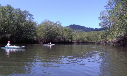 Enjoy Kayaking in Puntarenas Province, Costa Rica