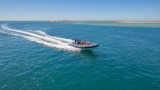 Aluguer de barcos RIB no Algarve