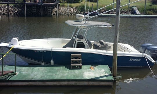 Enjoy Fishing in Punta del Este, Uruguay on Center Console