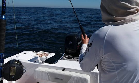 Aproveite a pesca em Punta del Este, Uruguai em nosso Bowrider