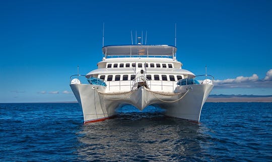 Charter 104' Tip Top II Power Catamaran in Quito, Ecuador