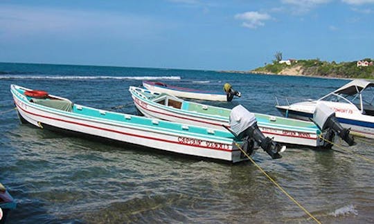 Rent a Super Cool Boat for 15 People at Treasure Beach, Jamaica