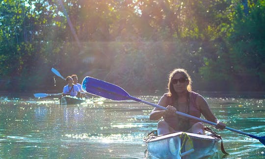Mangrove Kayak Tour Puerto Jimenez
