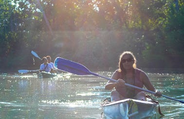 Mangrove Kayak Tour Puerto Jimenez