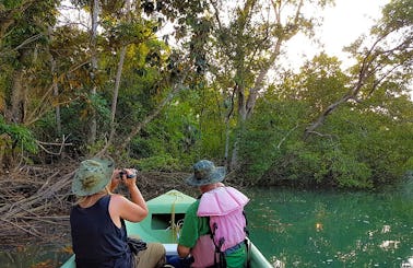 Golfo Dulce Exploration, Snorkeling, Mangroves and Dolphins.