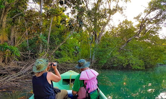 Golfo Dulce Exploration, Snorkeling, Mangroves and Dolphins.