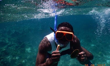 Desfrute de mergulho com snorkel em Montego Bay, Jamaica