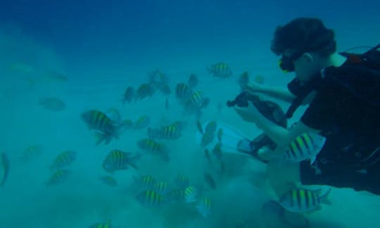 Enjoy Diving in Montego Bay, Jamaica