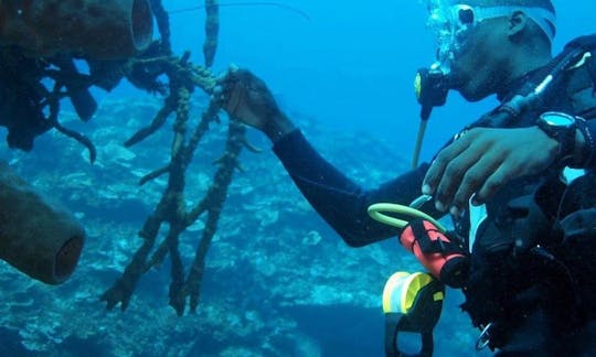 Enjoy Diving in Montego Bay, Jamaica