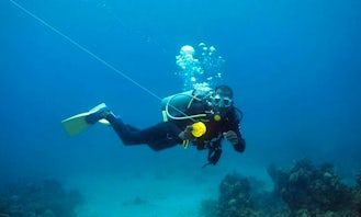 Enjoy Diving in Montego Bay, Jamaica