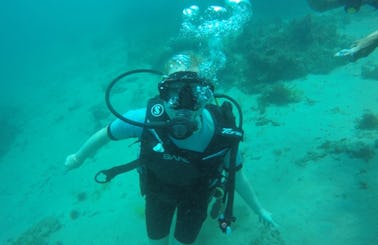 Scuba Diving in Tanjung Benoa