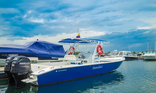 Consola central Charter Danielita I en Santa Marta, Colombia