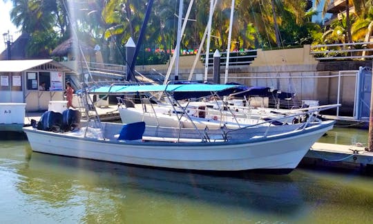 Flipper III panga boat 27' Center Console for fishing and whale watching trips in  Nuevo Vallarta, Mexico!