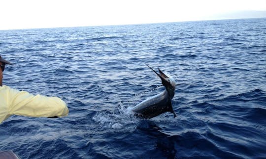 Profitez de la pêche à Golfito, au Costa Rica, sur Sport Fisherman